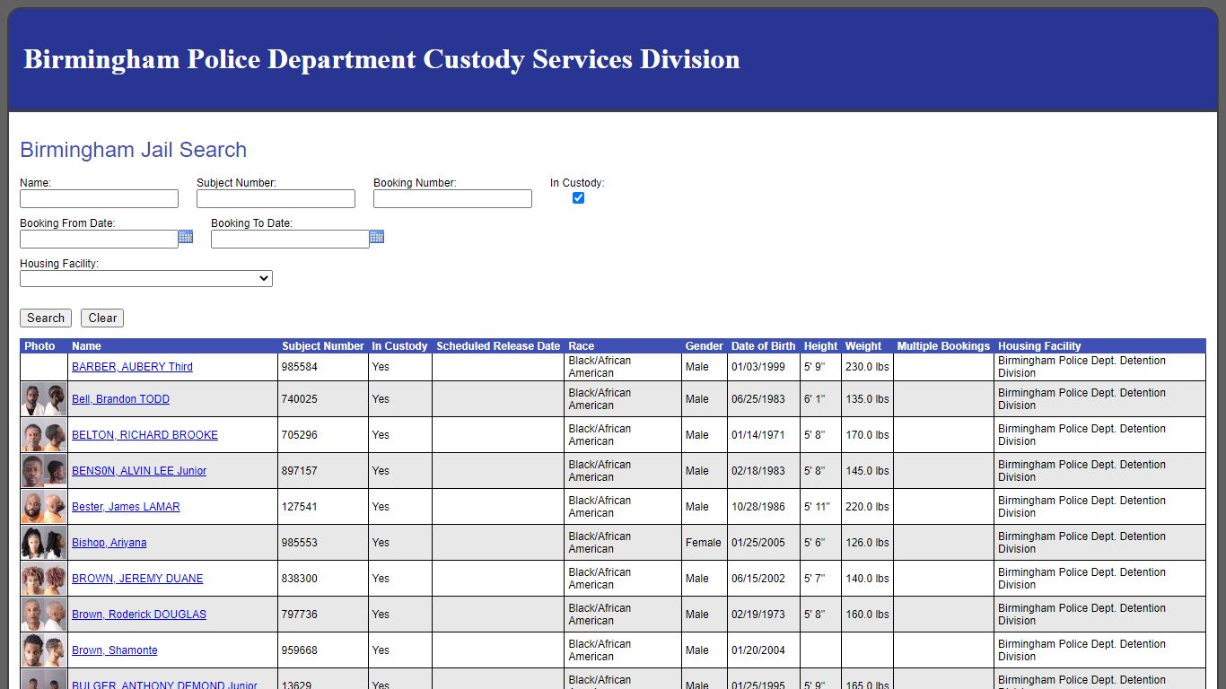Birmingham Jail Search